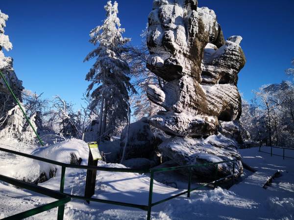 Agroturystyka Zielony Ogród