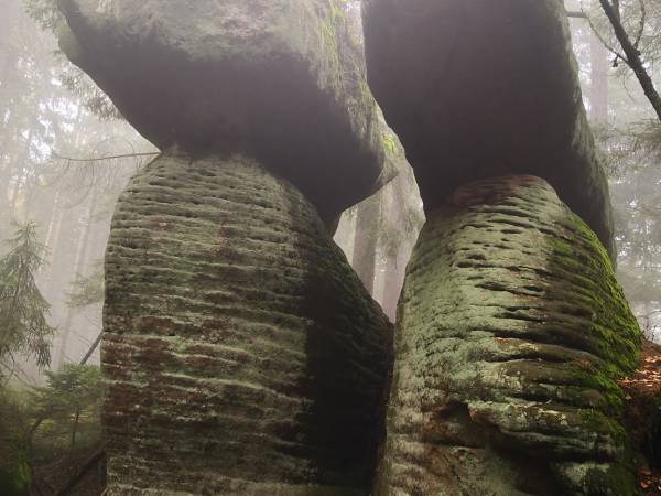 Agroturystyka Zielony Ogród