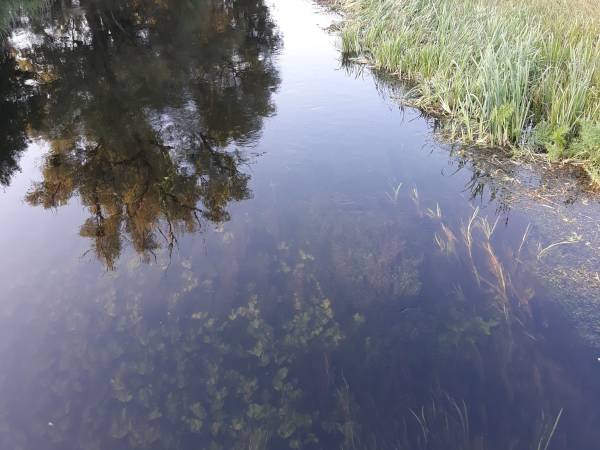 Domek nad rzeką Krutynią