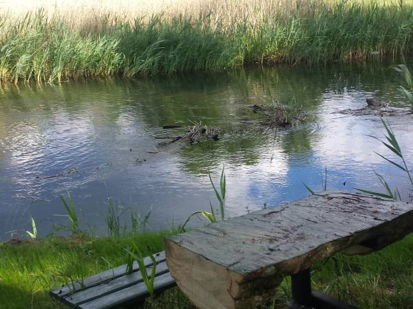 Domek nad rzeką Krutynią