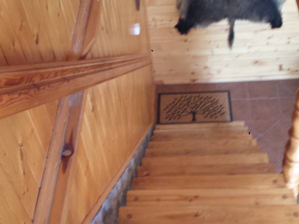 Domek nad rzeką Krutynią