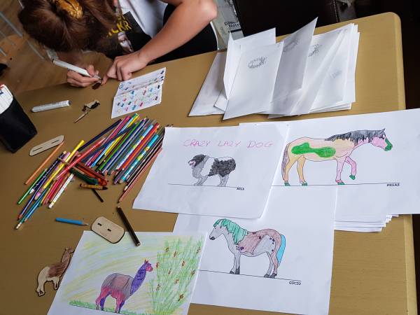 Agroturystyka-Zagroda Studzienno