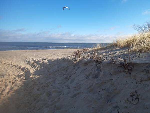 Apartament Concordia