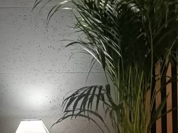 Apartament Concordia