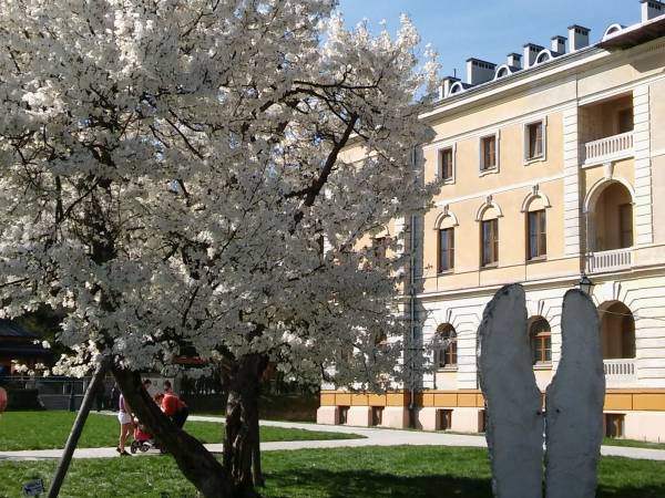 Apartamencik Lawenda