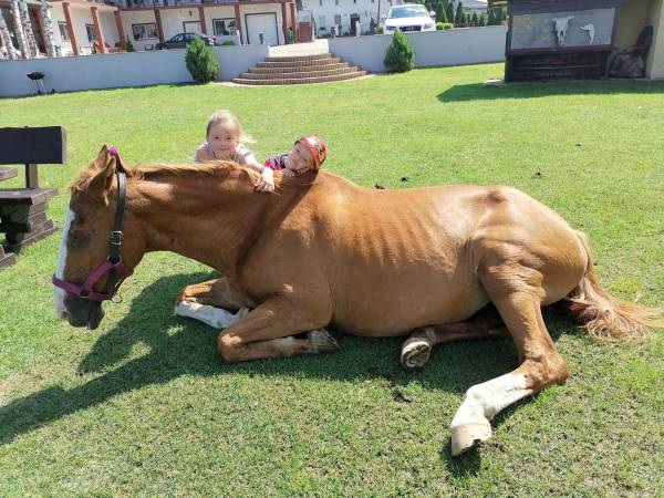 Gospodarstwo Agroturystyczne Maryśka 