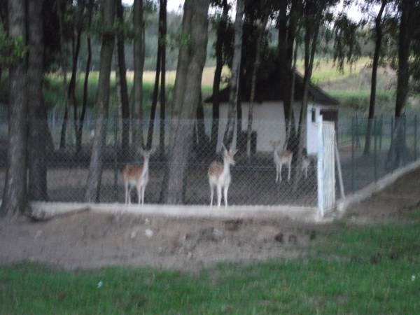 Gospodarstwo Agroturystyczne Maryśka 