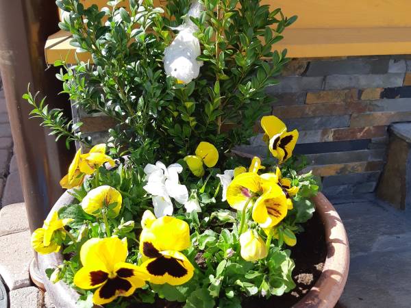 Pokoje gościnne Siodemka