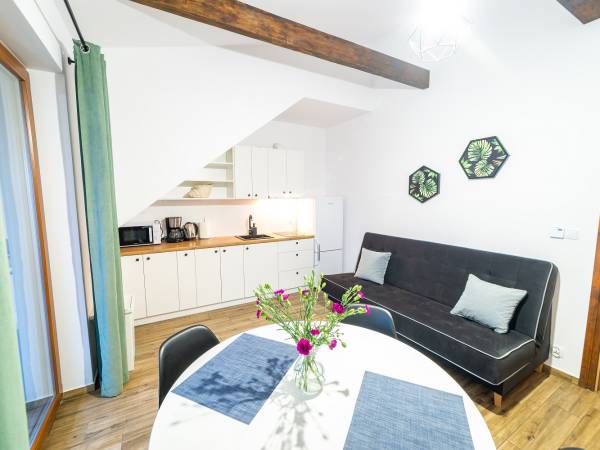 Willa Tałty apartamenty nad samym jeziorem