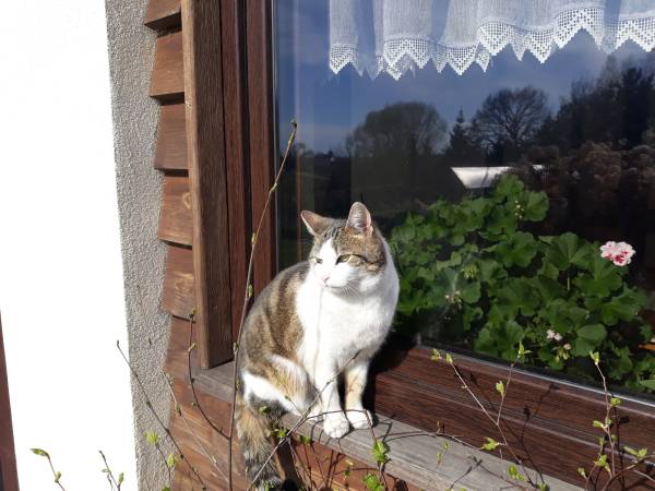 Agroturystyka Bobrowa Chata