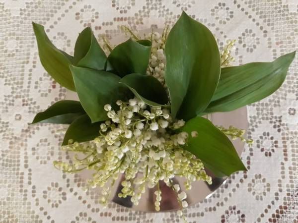 Agroturystyka Bobrowa Chata