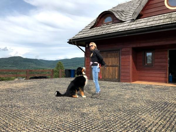 czworonozni i nie tylko..goście