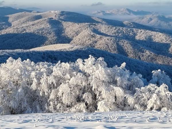 Noclegi pod Jawornikami