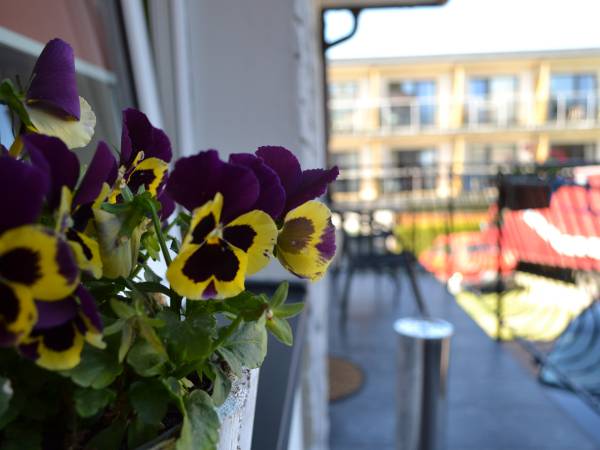 Pokoje Gościnne u Hanki