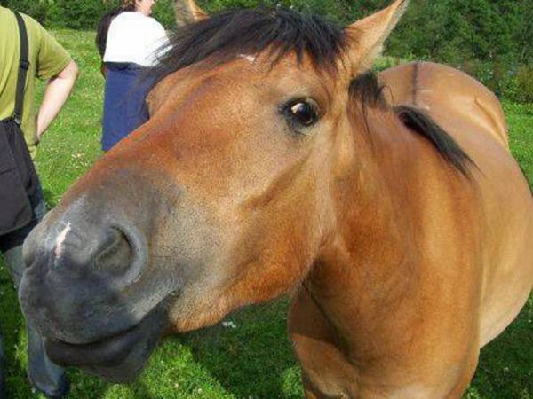 Przystań Caryńska (dawniej Unitra)