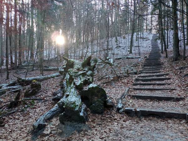Roztoczański Park Narodowy