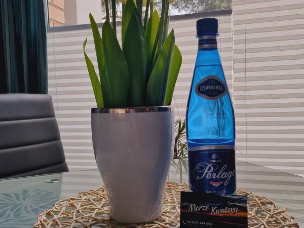 Apartamenty i pokoje gościnne Morze-Kwatery