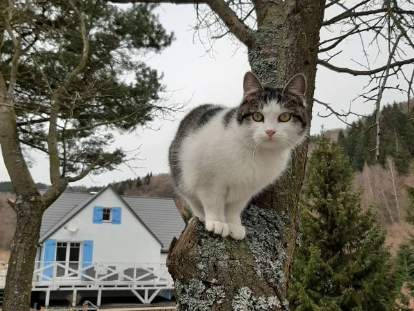 Apartamenty Poza Czasem