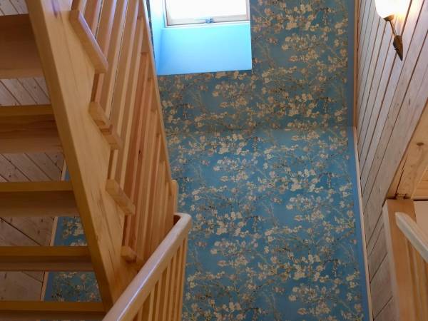 Dzika Róża Lubiatowo