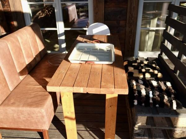 Dzika Róża Lubiatowo