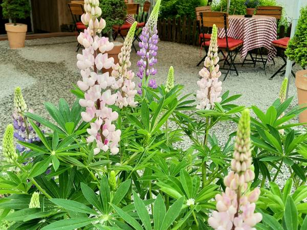 Agroturystyka Karioka