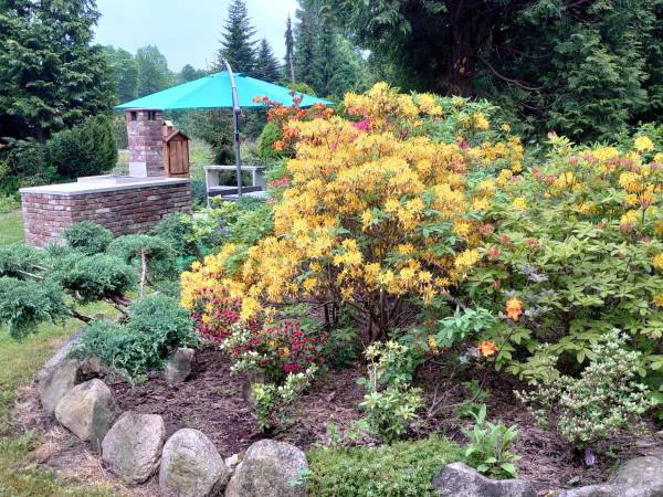 ENKLAWA NAD KWISĄ - APARTAMENTY