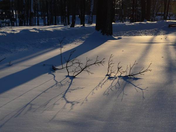 Sarnia Łąka Domki i Apartamenty
