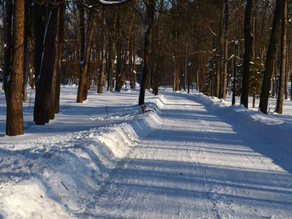Sarnia Łąka Domki i Apartamenty