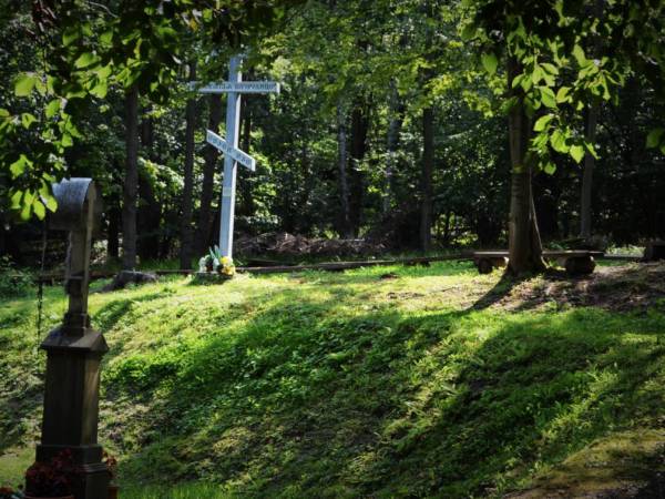 Sarnia Łąka Domki i Apartamenty