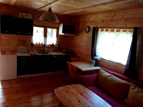 Salon z aneksem kuchennym 