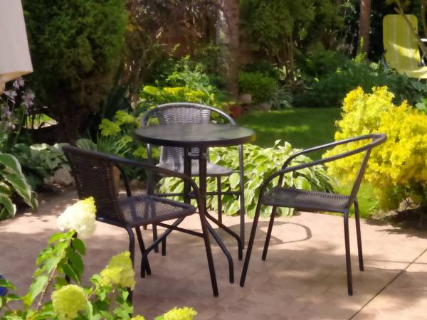 taras ogrodowt.wyjście ze studia