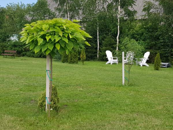 Domki Morskie Opowieści