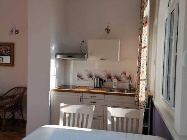 Aneks kuchenny w apartamencie kwiatowym