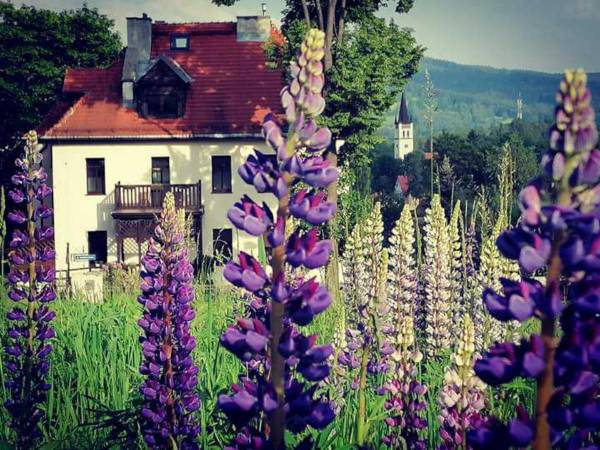 Widok na góry i Willę