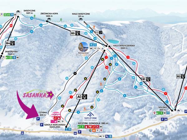 Sasanka przy Gondoli