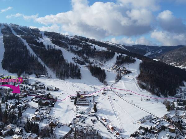 Sasanka przy Gondoli