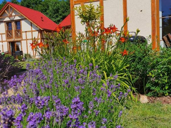 KUBICZÓWKA TATARAKI