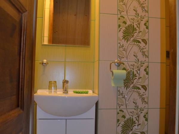 łazienka w zielonej izbie