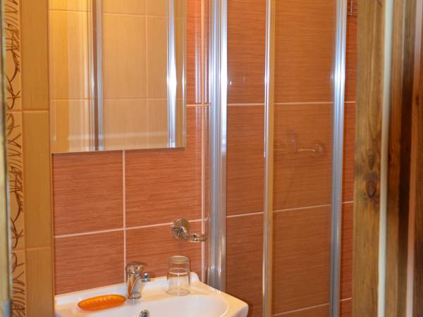 łazienka w brązowej izbie