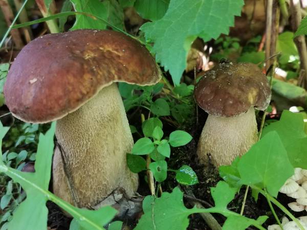 Ośrodek Wypoczynkowy Twardy Dół