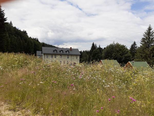 Ośrodek Wypoczynkowy na Koziej Hali i domki drewniane całoroczne