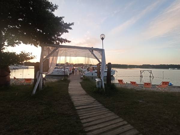 Późne popołudniowe Słońce w Tle