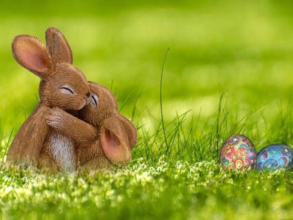 Apartament pod Bukowym Lasem