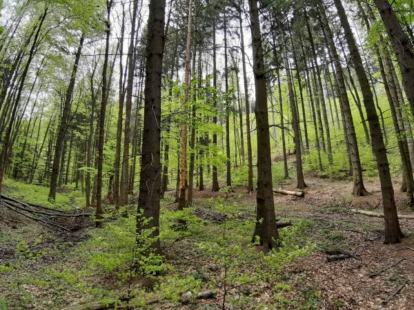 Apartament z widokiem