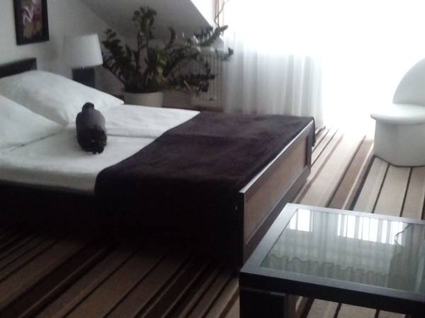 Kwatera Prywatna Morska