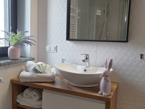 Wakacyjne Historie Apartamenty Międzylesie