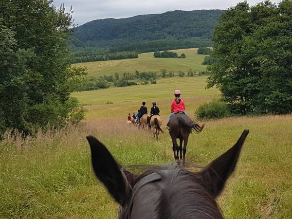 Wycieczki, rajdy konne