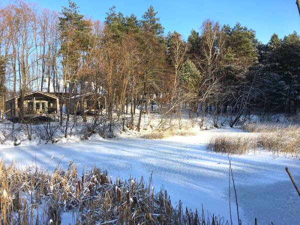 widok na domki od stawu i lasu