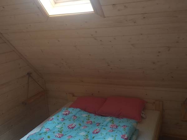 Domki i Pokoje Pod Palmami