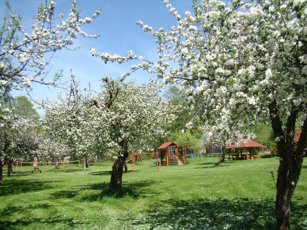 Willa Maria i Natasza